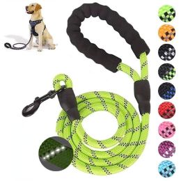 Pet Leash Reflective Strong Dog Leash 1.5M Long with Comfortable Padded Handle Heavy Duty Training Durable Nylon Rope Leashes - Green