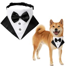 wedding suit dog collar pet saliva towel dog wedding triangle scarf - Blue and black triangle scarf collar set - L