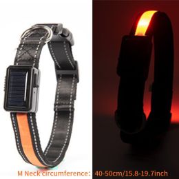 Solar And USB Rechargeable Light Up Pet Collar Waterproof LED Dog & Cat Collars For Night Walking - Orange - M