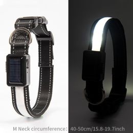 Solar And USB Rechargeable Light Up Pet Collar Waterproof LED Dog & Cat Collars For Night Walking - White - M