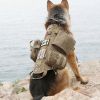 Tactical Dog Harness With Pouches; Adjustable Harness With 3 Detachable Pockets - Mixed Color - L