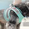 Pet Harness For Dog & Cat; No Pull Breathable Dog Vest Harness For Walking; Anti Escape Dog Harness - Sky Blue - M