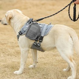 Universal Outdoor Dog Harness With Pet Leash And Snap Shackle Hitched Loop For Dogs - Grey - M