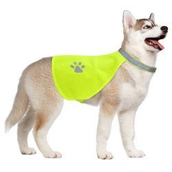 X-Small Hi-Vision Reflective Safety Vest - AVST-001