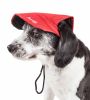 Pet Life 'Cap-Tivating' Uv Protectant Adjustable Fashion Dog Hat Cap - Red - Medium