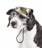 Pet Life 'Torrential Downfour' Camouflage Uv Protectant Adjustable Fashion Dog Hat Cap - Medium