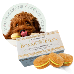 Dog Macarons - Count of 3 (Dog Treats | Dog Gifts) - Birthday Cake