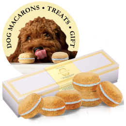 Dog Macarons - Count of 6 (Dog Treats | Dog Gifts) - Vanilla