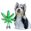 Mary Jane the Weed Leaf 420 Dog Toy - Green