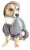 Dog Helios 'Namastail' Lightweight 4-Way Stretch Breathable Full Bodied Performance Yoga Dog Hoodie Tracksuit - Grey - X-Large