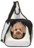 Single Strap Over-The-Shoulder Navigation Hands Free Backpack and Front pack Pet Carrier - B35GYMD