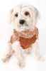 Royal Bark Heavy Cable Knitted Designer Fashion Dog Sweater - Medium