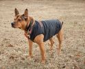 Touchdog Waggin Swag Reversible Insulated Pet Coat - Small - (JKTD9ORBSM)