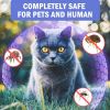 Flea & Tick Collar for Cats and Dogs; 2 Pack; 14 Months Protection; Kills & Repels Fleas and Ticks; Adjustable length - Purple-cans - Cat - Length 39c