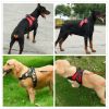 Dog Chest Strap Traction Rope Explosion proof Flushing Dog Chest Strap - Star Spangled Banner - L