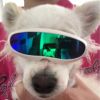 Pet Goggles Sunglasses Photography Props Pet Accessories - blue - Pets