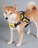 Dog Helios 'Scorpion' Sporty High-Performance Free-Range Dog Harness - Yellow - Large