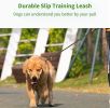 Dog Leash Durable Slip Training Lead Heavy Duty 6 FT Comfortable Strong Reflective Rope Slip Leash for Small Dogs Green - L-1/2"