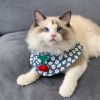 Small Dog Cat Cute Cherry Bibs Scarf Pet Bandana Neckerchief Accessories, Blue - Default