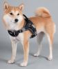 Dog Helios 'Scorpion' Sporty High-Performance Free-Range Dog Harness - Black - Small