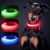 Solar And USB Rechargeable Light Up Pet Collar Waterproof LED Dog & Cat Collars For Night Walking - Fluorescent Green - M