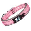 Pet dog collar; diving cloth reflective nylon collar; medium and large dog collar - Black ribbon: purple - S 2.0*(28-38)CM