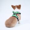 dog harness set; with leas frog leash pet mesh breathable small dog chest back retractable dog leash pet harness - Calf+traction rope - M