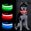 Solar And USB Rechargeable Light Up Pet Collar Waterproof LED Dog & Cat Collars For Night Walking - Orange - M