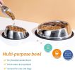 Beveled Dogs Bowl Stainless Steel Removable Rubber Ring Non-Slip Bottom Pet Feeder Bowl Water Dish For Dog Cat - 2 Pack Large(3.8Cup)