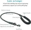 Dual Dog Leash; Double Dog Leash; 360 Swivel No Tangle Walking Leash; Shock Absorbing Bungee for Two Dogs - Purple - length:90cm