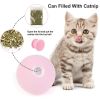 Home Pet Smart Cat Toys Interactive Ball - pink - Pets