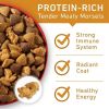 Dry Dog Food for Adult Dogs Chicken and Rice Formula;  40 lb Bag - 40 lbs