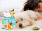 Small dog disposable diapers; Small dog physiological pants Female dog sanitary napkin Safety underwear Male dog diapers - Boy S 10 pcs/bag