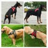 Dog Chest Strap Traction Rope Explosion proof Flushing Dog Chest Strap - black - L