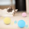 Home Pet Smart Cat Toys Interactive Ball - green - Pets