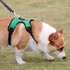 dog harness set; with leas frog leash pet mesh breathable small dog chest back retractable dog leash pet harness - Green frog - XS