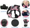 Pet Harness And Leash Set For Dog & Cat; Adjustable No Pull Service Dog Vest Harness For Walking - Purple - XS