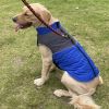 Winter Dog Coats For Small Medium Large Dogs; Waterproof Dog Jacket For Outdoor; Winter Dog Vest - Blue - XXL