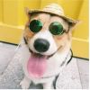 Cute Dog cat Glasses Pet Goggles Glasses Suitable For Puppy Cat Photo Props - colors - Round