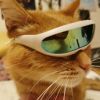 Pet Goggles Sunglasses Photography Props Pet Accessories - red - Pets