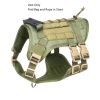 Universal Outdoor Dog Harness With Pet Leash And Snap Shackle Hitched Loop For Dogs - Matcha set with bag - L