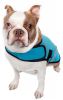 Extreme Neoprene Multi-Purpose Protective Shell Dog Coat - Large