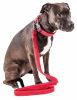 Pet Life 'Aero Mesh' 2-In-1 Dual Sided Comfortable And Breathable Adjustable Mesh Dog Leash-Collar - Red - Large