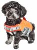 Dog Helios 'Tidal Guard' Multi-Point Strategically-Stitched Reflective Pet Dog Life Jacket Vest - Orange - Large