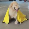 New coral velvet speed pet dry towel dog cat bath towel soft absorbent pet bath towel - [Medium size dog] 50 * 100cm - yellow