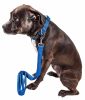 Pet Life 'Aero Mesh' 2-In-1 Dual Sided Comfortable And Breathable Adjustable Mesh Dog Leash-Collar - Blue - Large