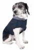 Pet Life Active 'Pull-Rover' Premium 4-Way Stretch Two-Toned Performance Sleeveless Dog T-Shirt Tank Top Hoodie - Teal - X-Small