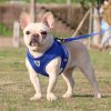 dog Harnesses and dog leash set; Pet Chest Strap Vest Dog Towing Rope Reflective Breathable Dog Rope Pet Supplies Wholesale - blue - XS