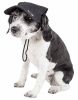 Pet Life 'Cap-Tivating' Uv Protectant Adjustable Fashion Dog Hat Cap - Black Faded - Large