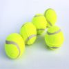 3pcs Pet dog toy tennis toy micro elastic ball dog throwing interactive dog ball training dog - green - 3pcs